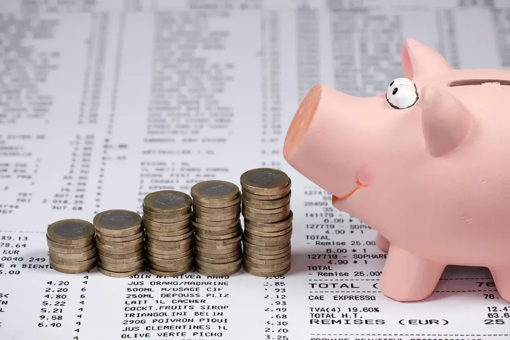 Economie pusculita